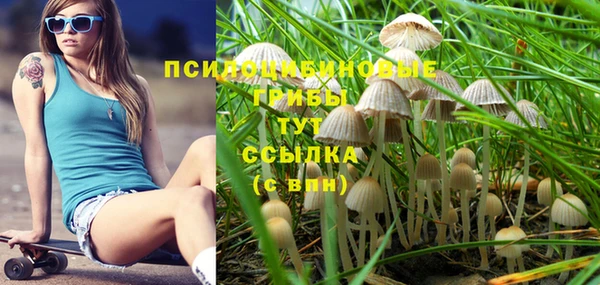 мяу мяу мука Абдулино