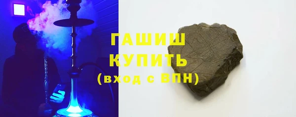 гашик Алексин