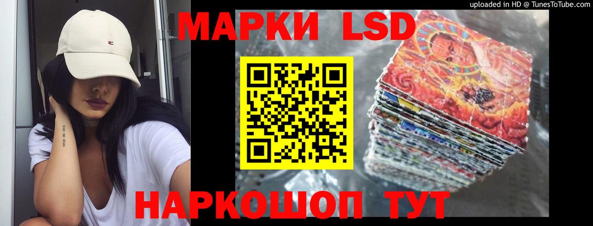 мега ссылка  Вход с VPN  Североморск  LSD-25 экстази ecstasy  Лсд 25 экстази кислота 