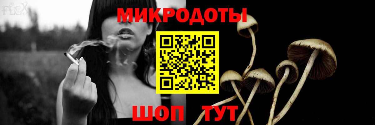 наркотики  Вход с VPN  Североморск  Псилоцибиновые грибы мицелий 